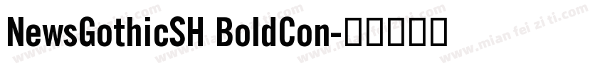 NewsGothicSH BoldCon字体转换